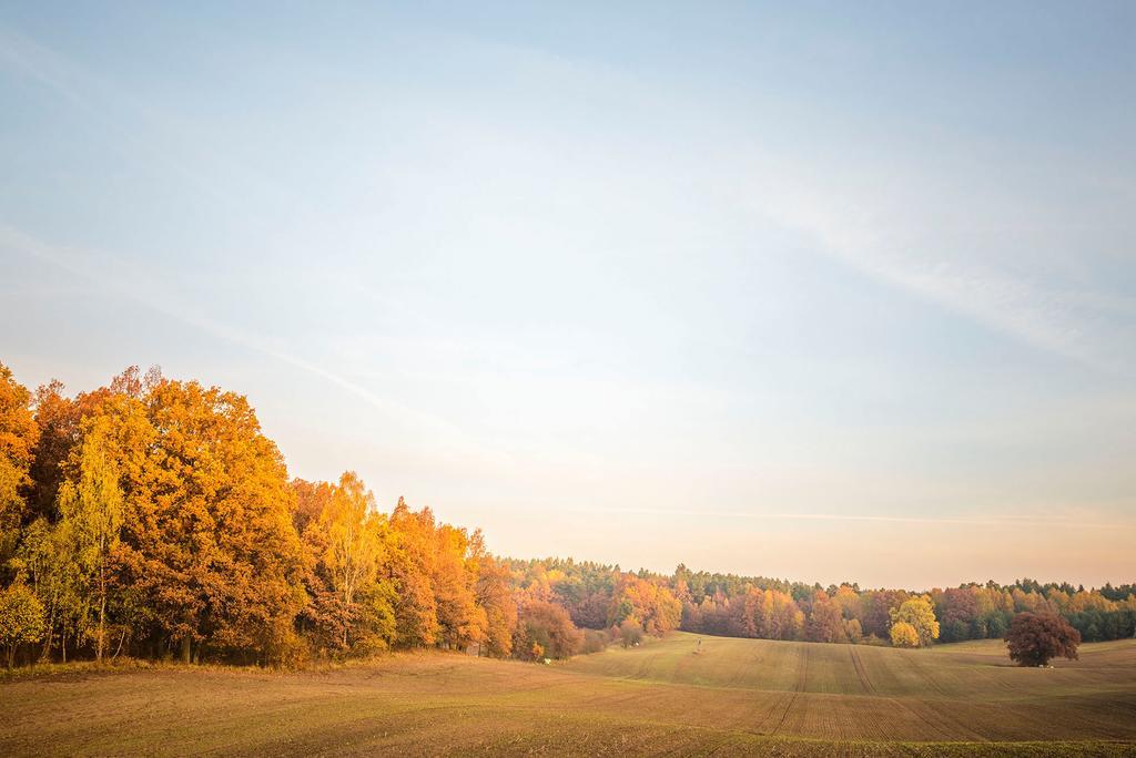 Hotel Reindahls Wilkendorf エクステリア 写真